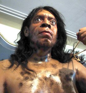 neanderthal